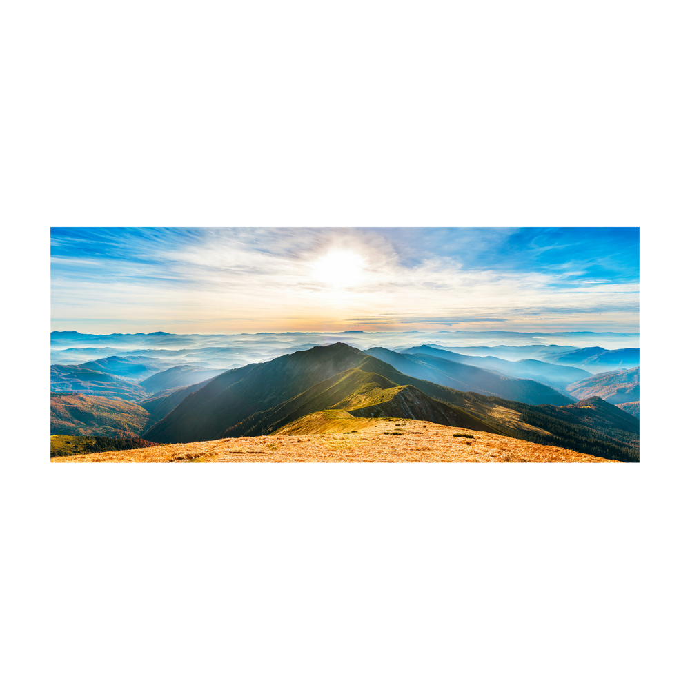 Large Format Print
