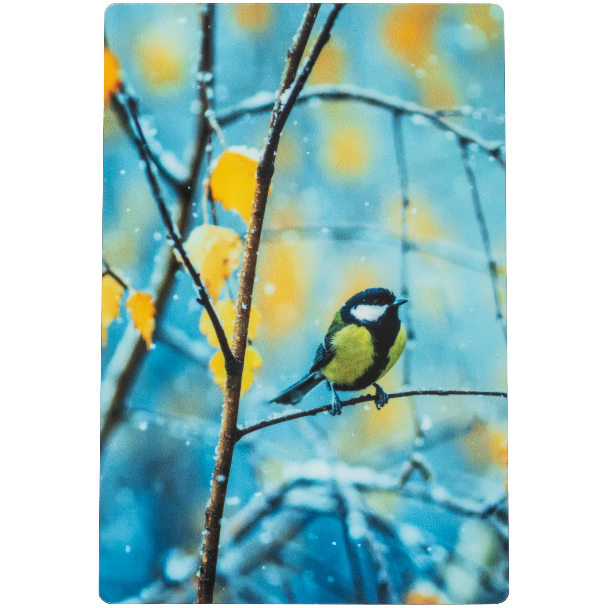 4x6 Metal Desk Print with Easel