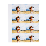 Wallet Prints - Set of 8